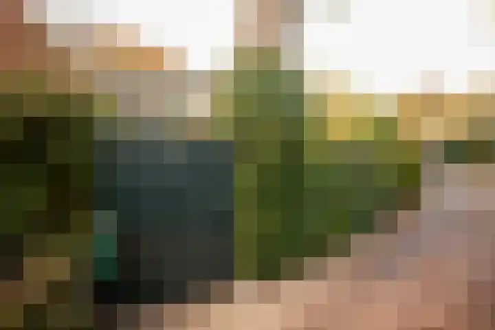 Bij den Toren 10 Laren foto 3