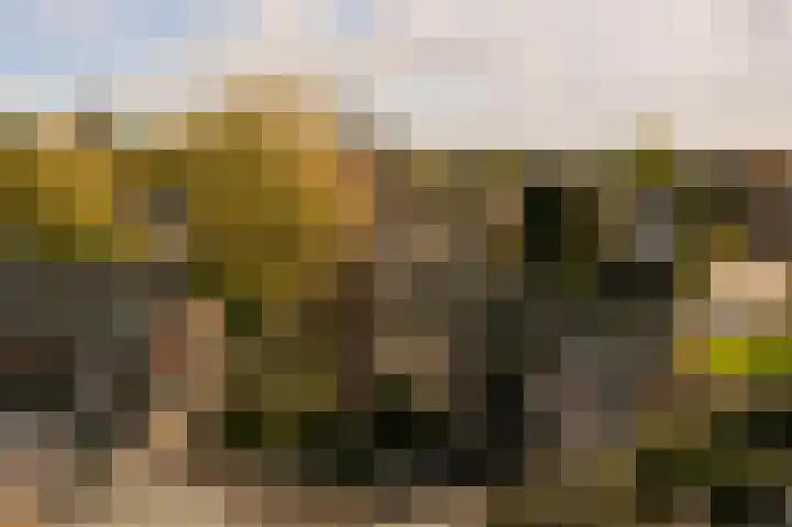Bij den Toren 10 Laren thumbnail 33