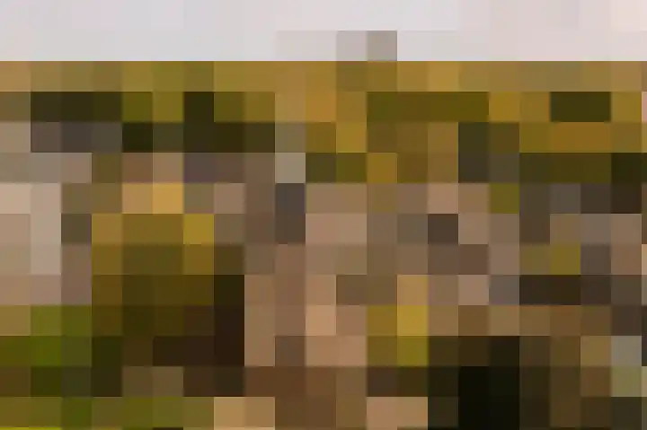 Bij den Toren 10 Laren thumbnail 34