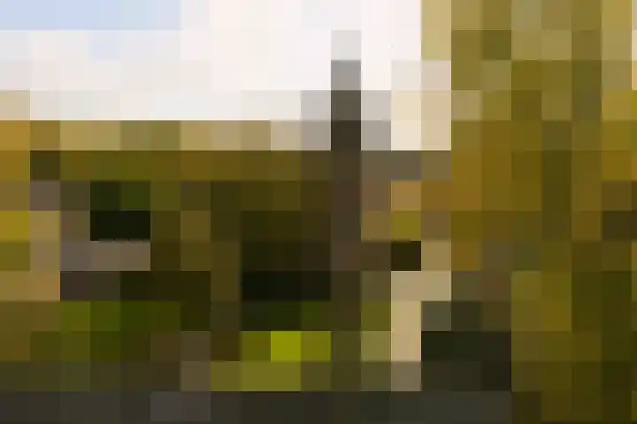 Bij den Toren 10 Laren thumbnail 35