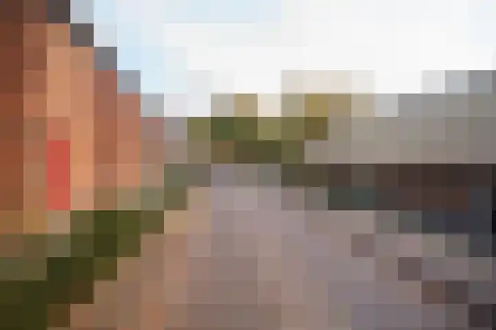 Bij den Toren 10 Laren thumbnail 36