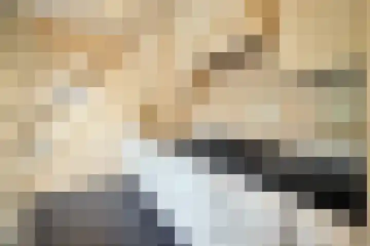 Bij den Toren 10 Laren thumbnail 6