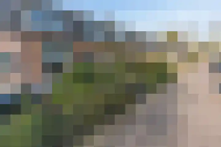 Bij den Toren 17 Laren thumbnail 31