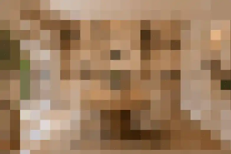 Bij den Toren 6 Laren thumbnail 10