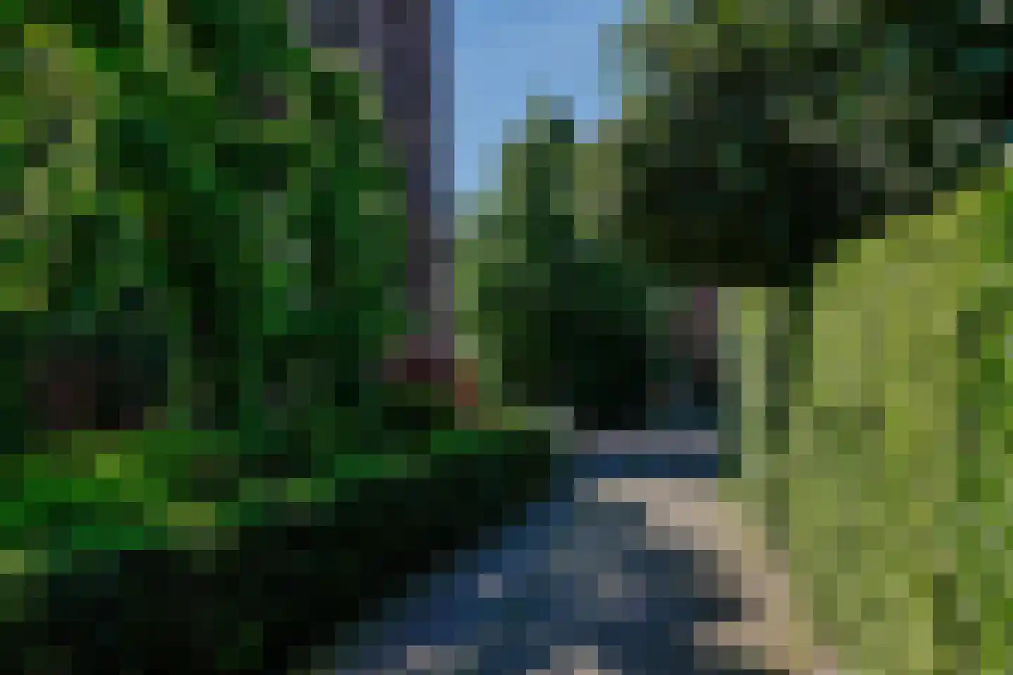 Bij den Toren 6 Laren foto 2