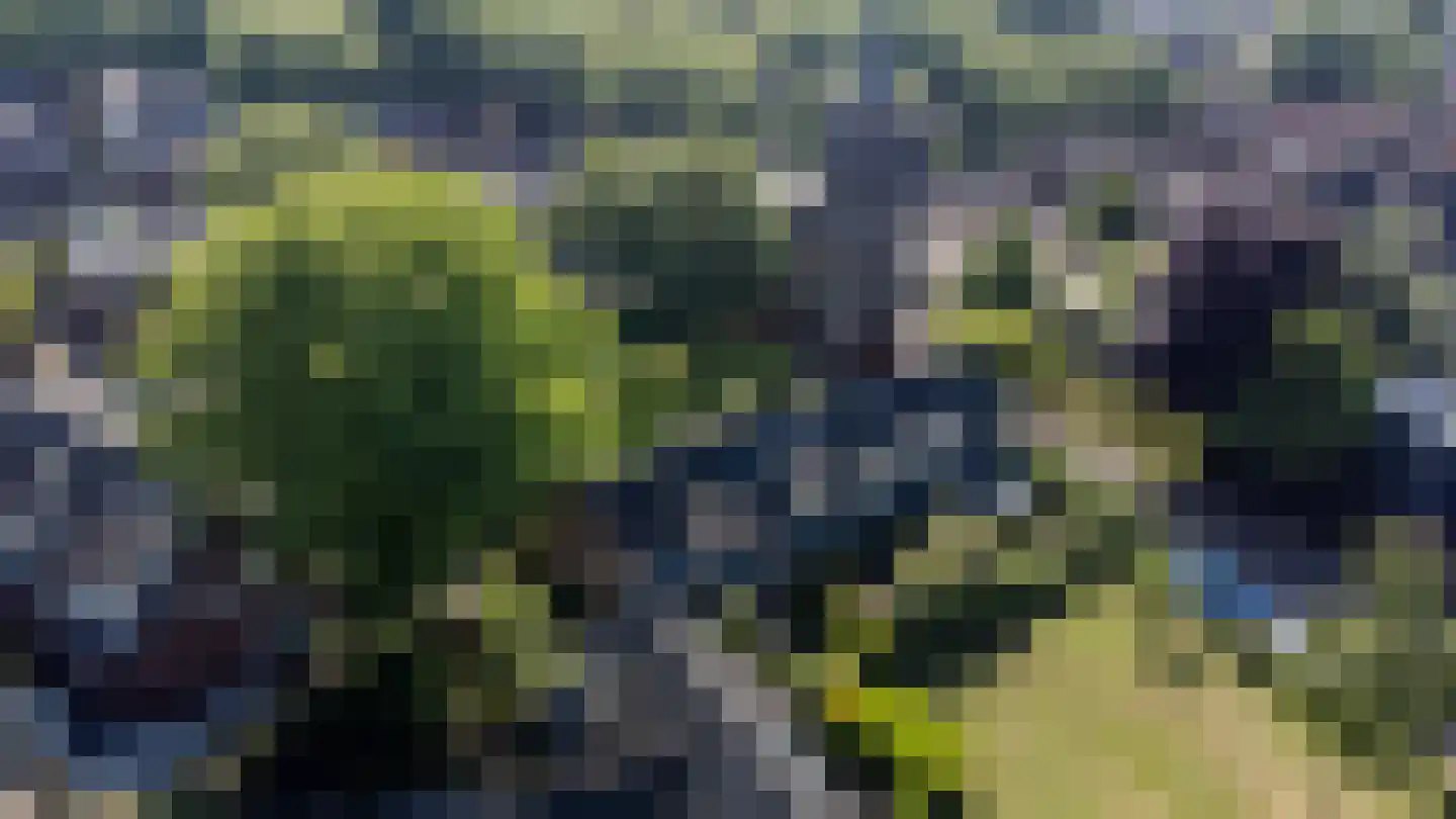Bij den Toren 6 Laren thumbnail 25