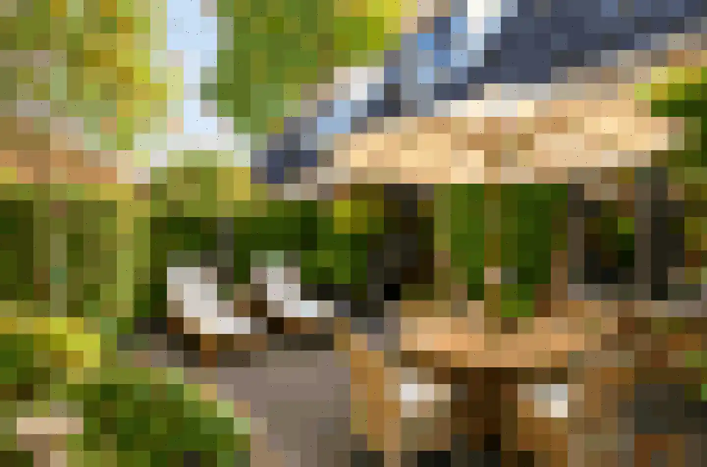 Bij den Toren 6 Laren thumbnail 5