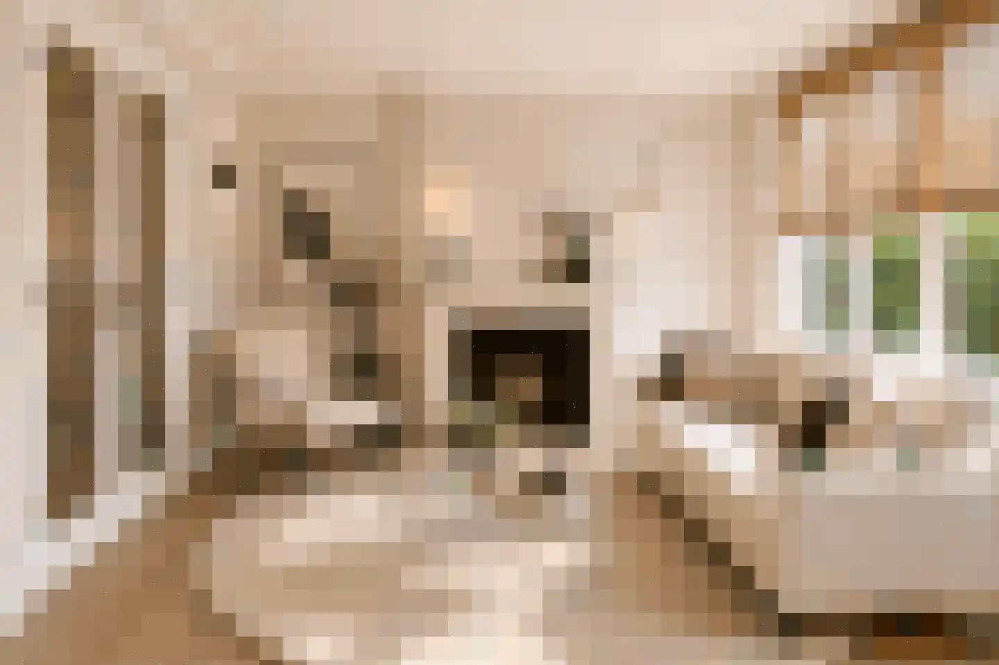 Bij den Toren 6 Laren thumbnail 7