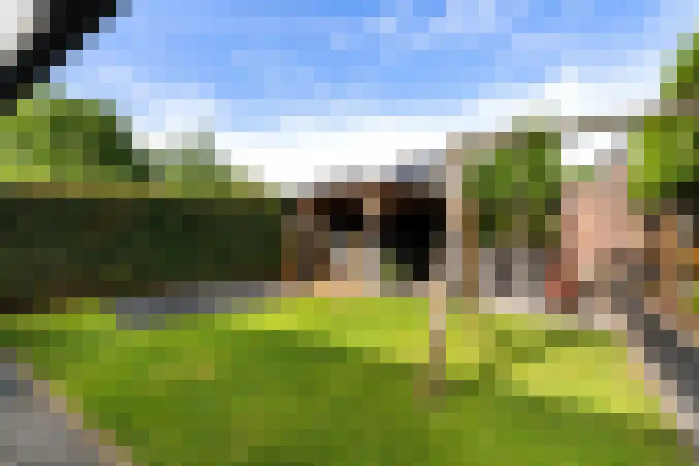 Bij Polderte 10 Weert thumbnail 45