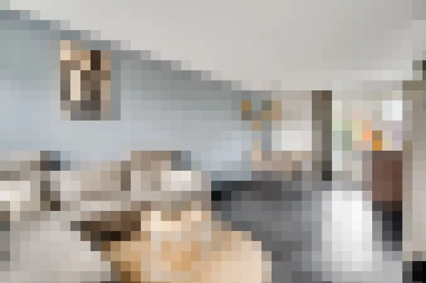 Bij Polderte 6 Weert thumbnail 13