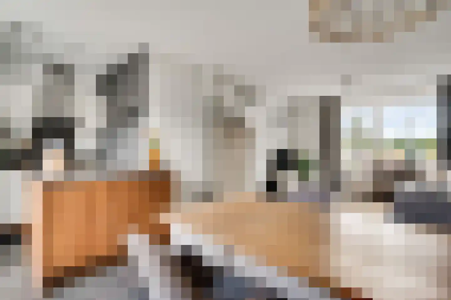 Bij Polderte 6 Weert thumbnail 17