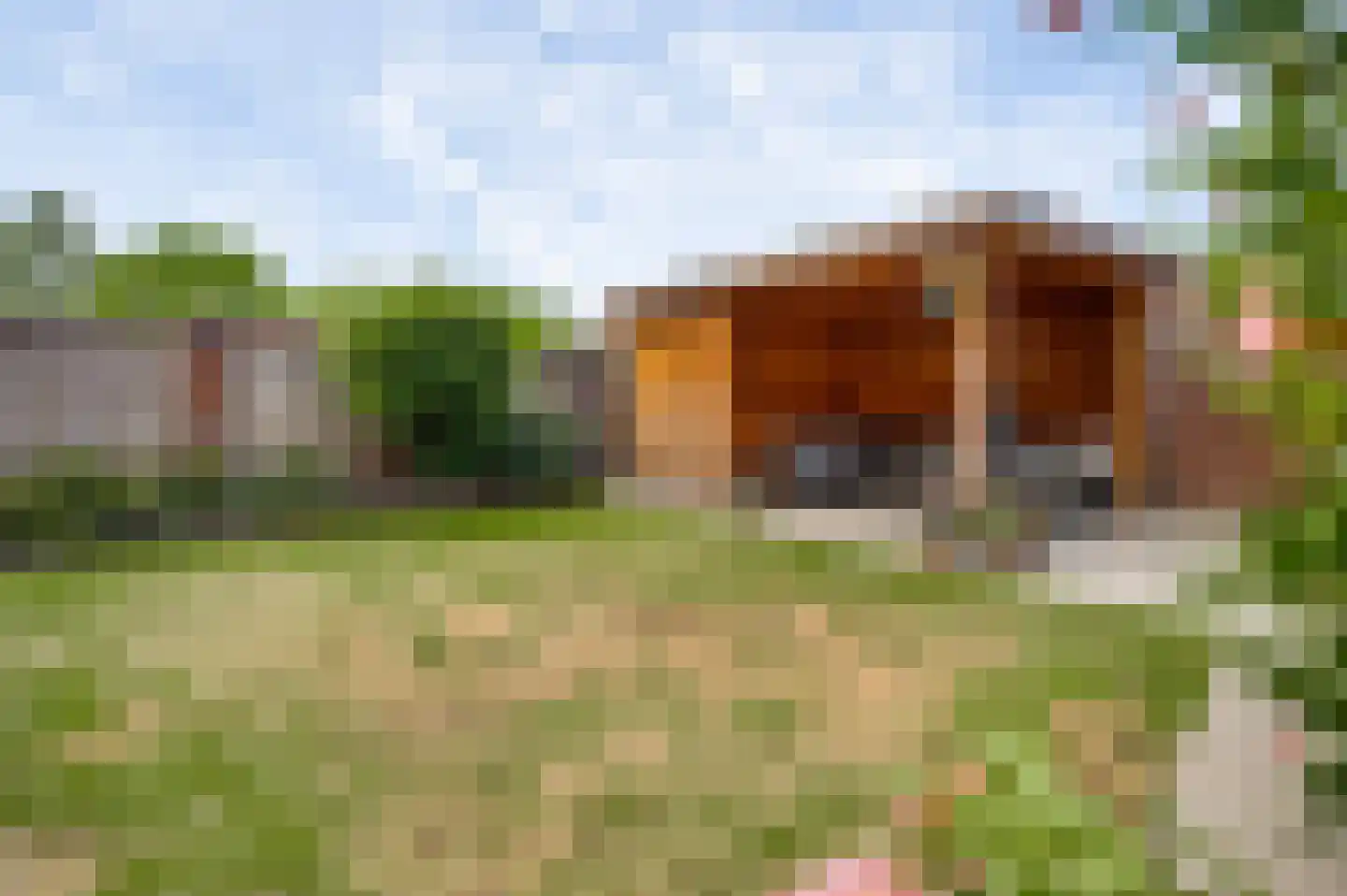 Bij Polderte 6 Weert thumbnail 31