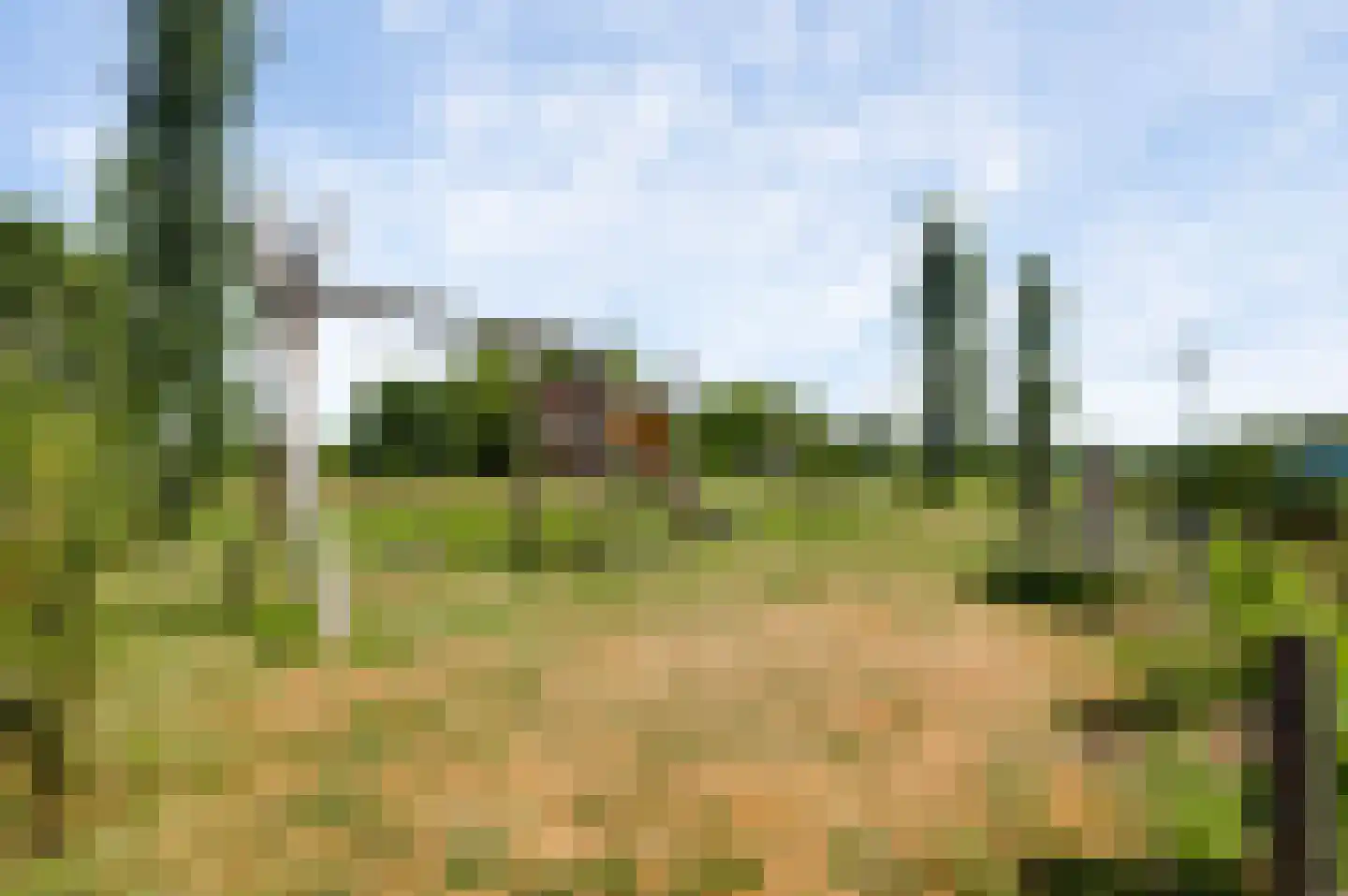 Bij Polderte 6 Weert thumbnail 35
