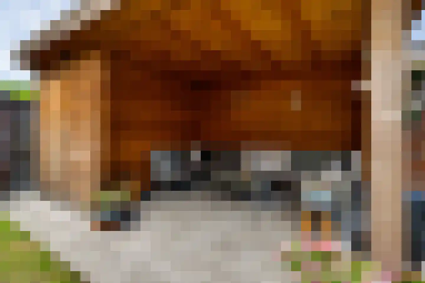 Bij Polderte 6 Weert thumbnail 5