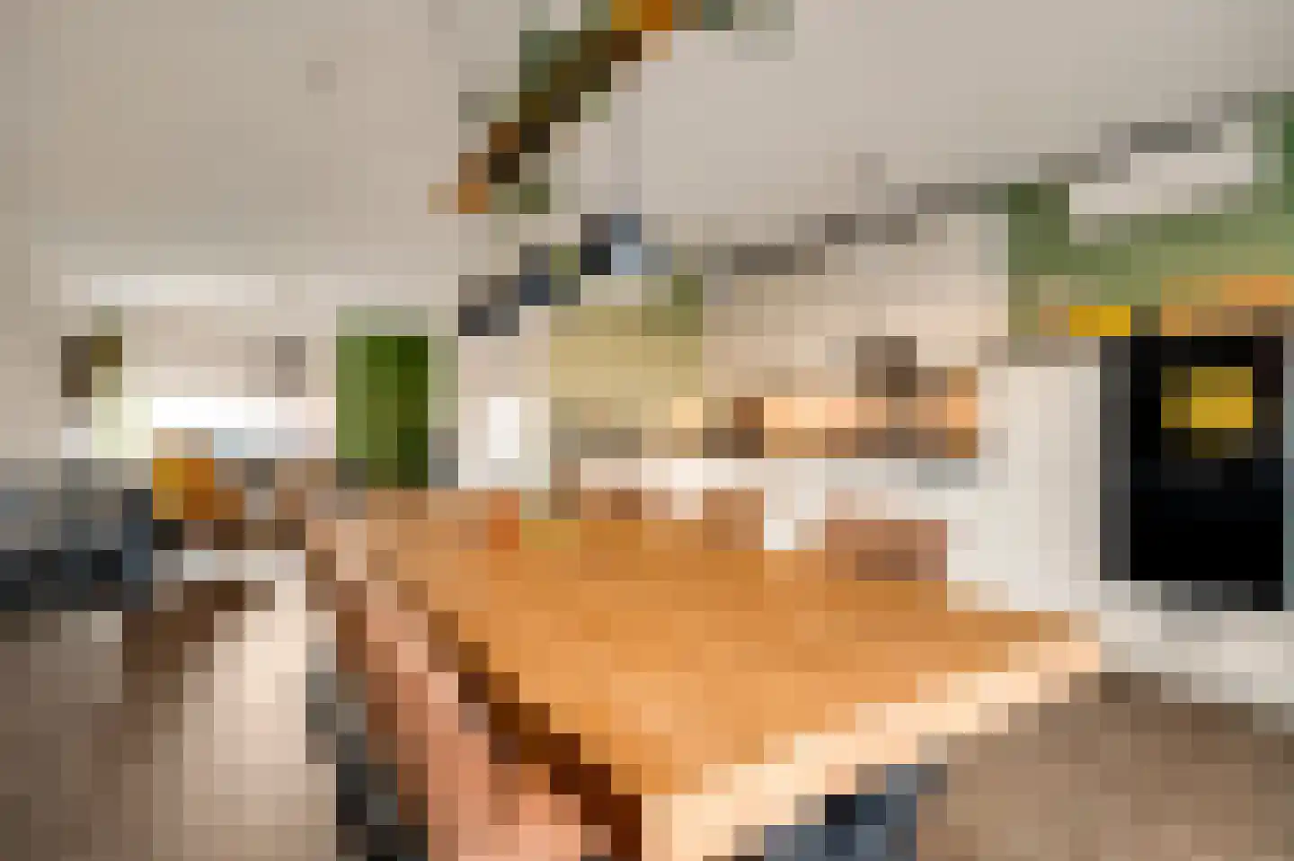 Bij Polderte 8 Weert thumbnail 15