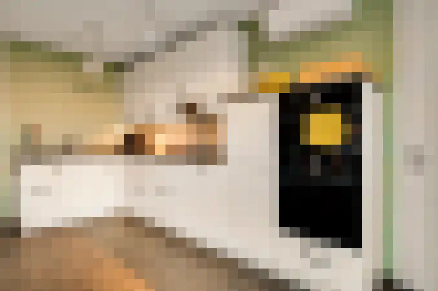 Bij Polderte 8 Weert thumbnail 16