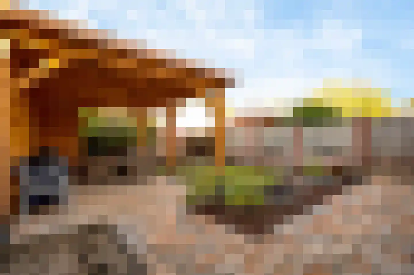 Bij Polderte 8 Weert thumbnail 29