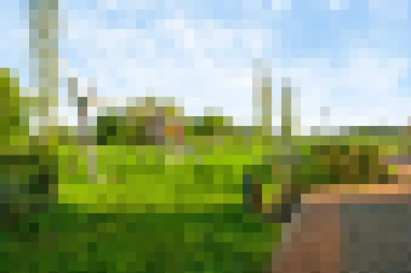Bij Polderte 8 Weert thumbnail 33