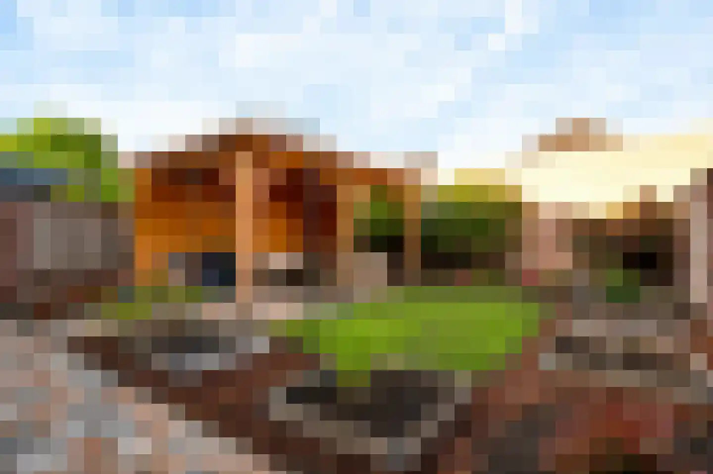 Bij Polderte 8 Weert thumbnail 6