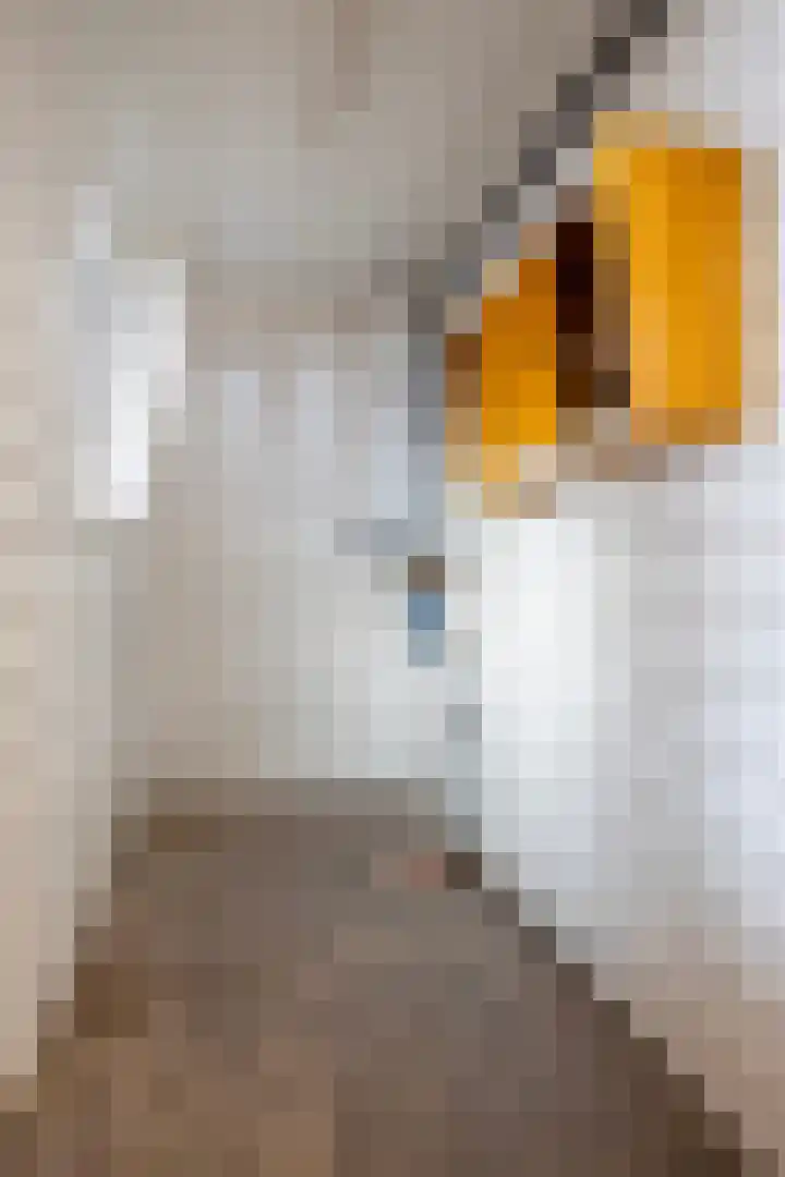 Bij 't Station 1 Dokkum thumbnail 22