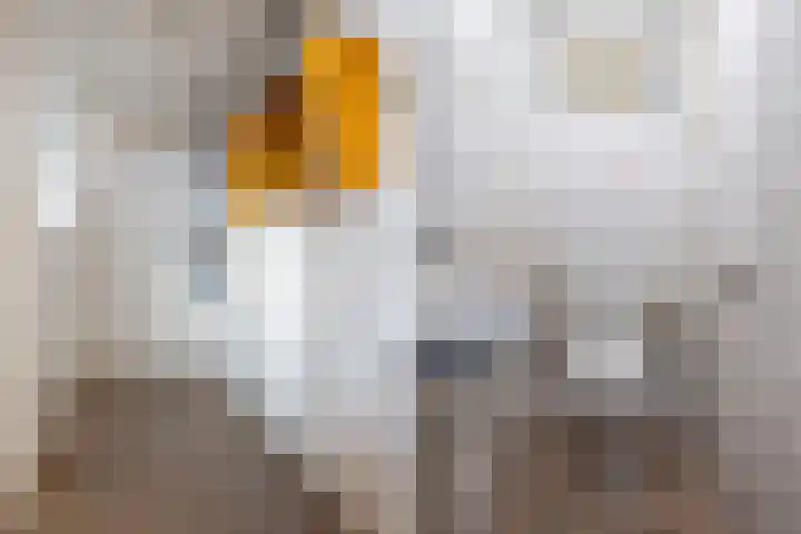 Bij 't Station 1 Dokkum thumbnail 23