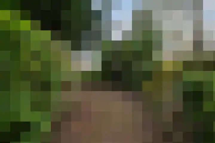 Bij 't Station 1 Dokkum thumbnail 28
