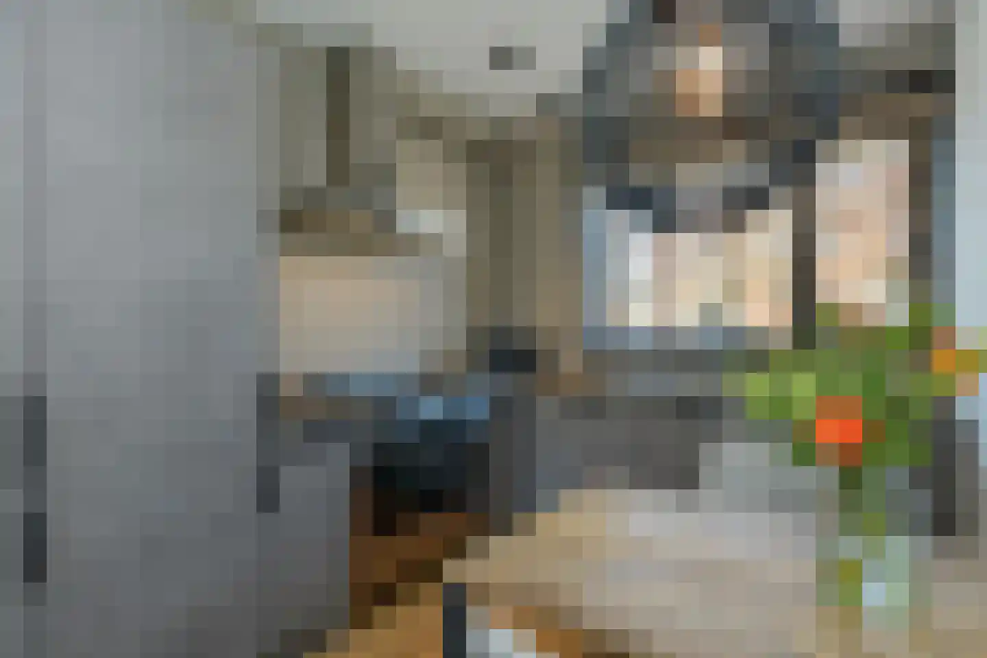 Bijdamweg 23 Hoenderloo thumbnail 14