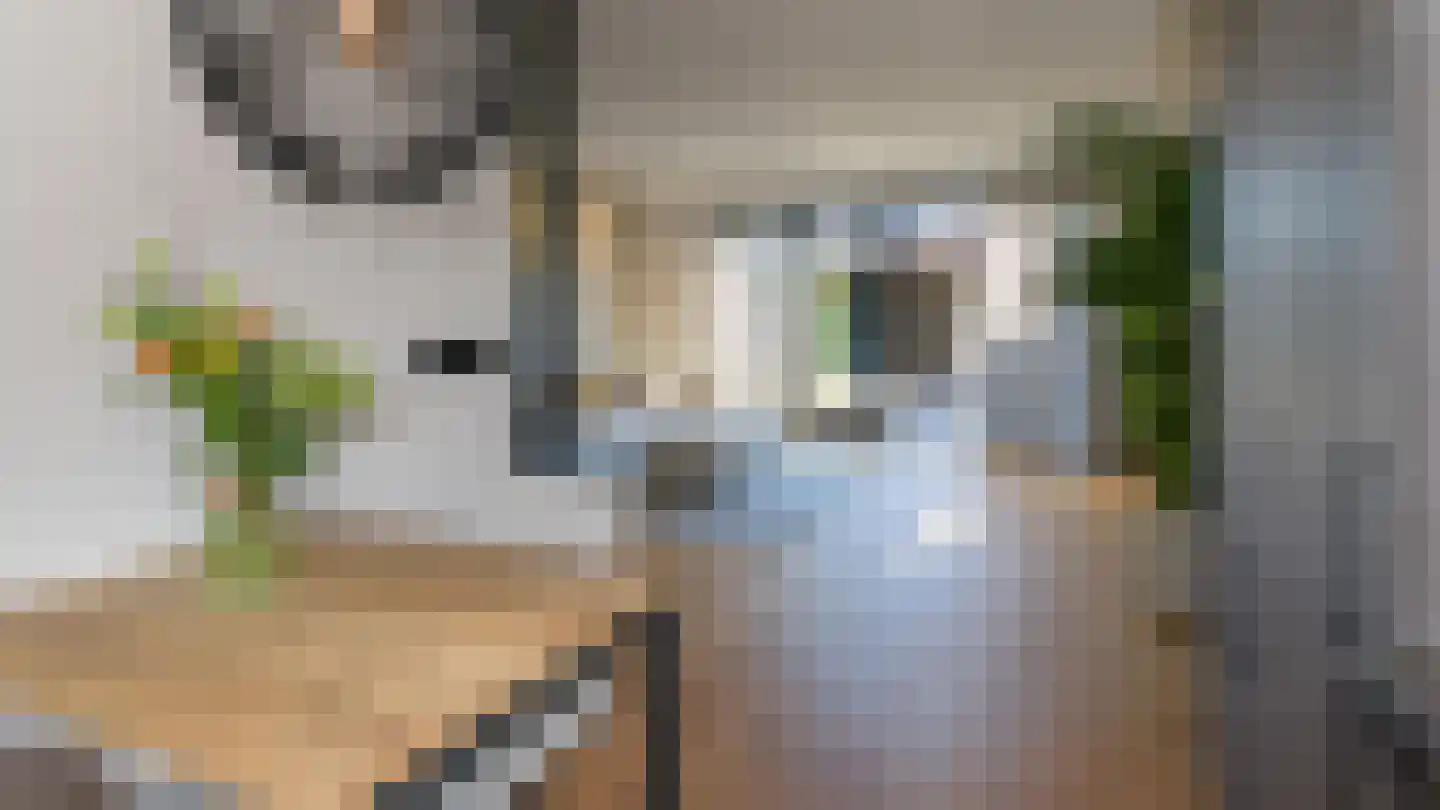 Bijdamweg 23 Hoenderloo thumbnail 16