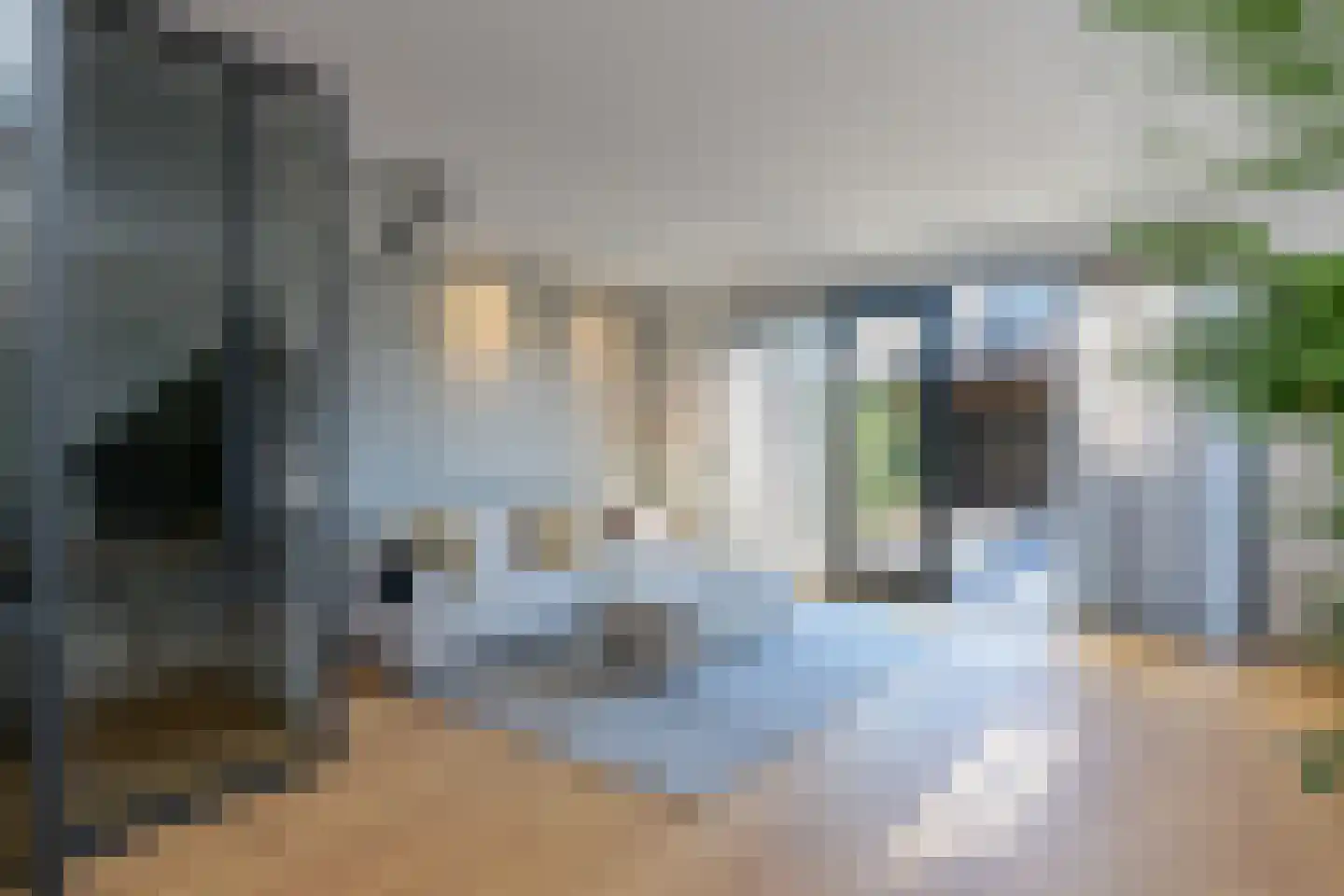 Bijdamweg 23 Hoenderloo thumbnail 17