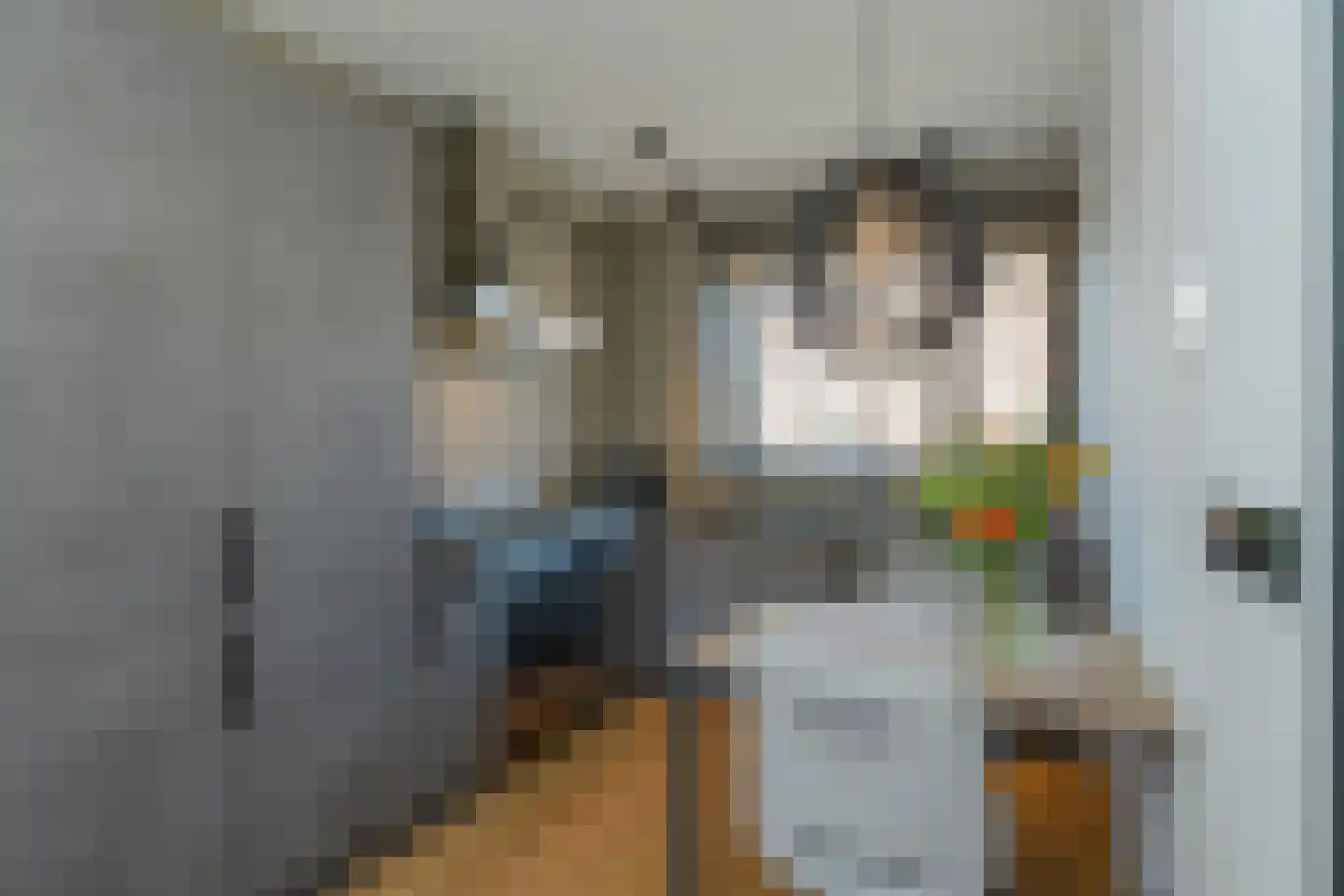 Bijdamweg 23 Hoenderloo thumbnail 4