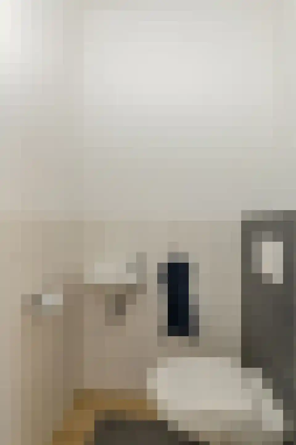 Bijdamweg 23 Hoenderloo thumbnail 8