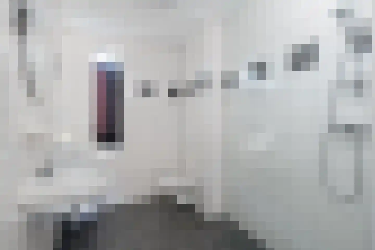 Bijdamweg 37 Hoenderloo thumbnail 17