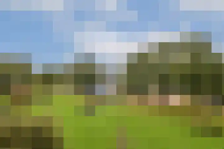 Bijdorp 59 Amstelveen thumbnail 10
