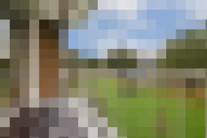 Bijdorp 59 Amstelveen thumbnail 11