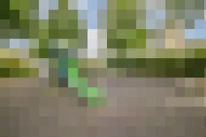 Bijdorp 59 Amstelveen thumbnail 21