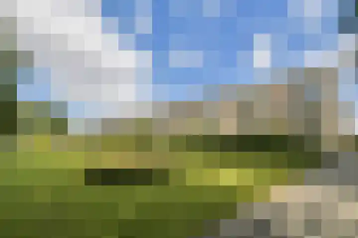 Bijdorp 73 Amstelveen thumbnail 23
