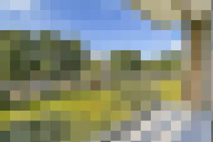 Bijdorp 73 Amstelveen thumbnail 5