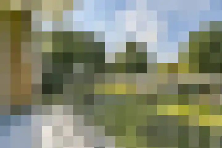 Bijdorp 73 Amstelveen thumbnail 6