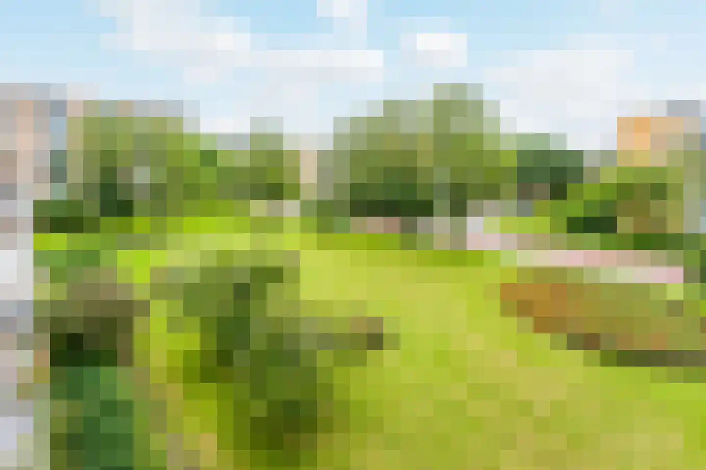 Bijdorp 91 Amstelveen thumbnail 13