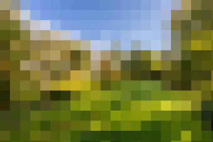 Bijdorplaan 10 Haarlem thumbnail 11