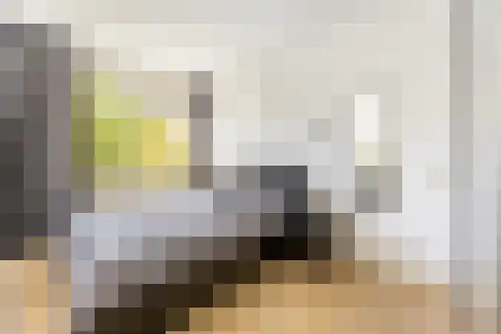 Bijdorplaan 10 Haarlem thumbnail 6