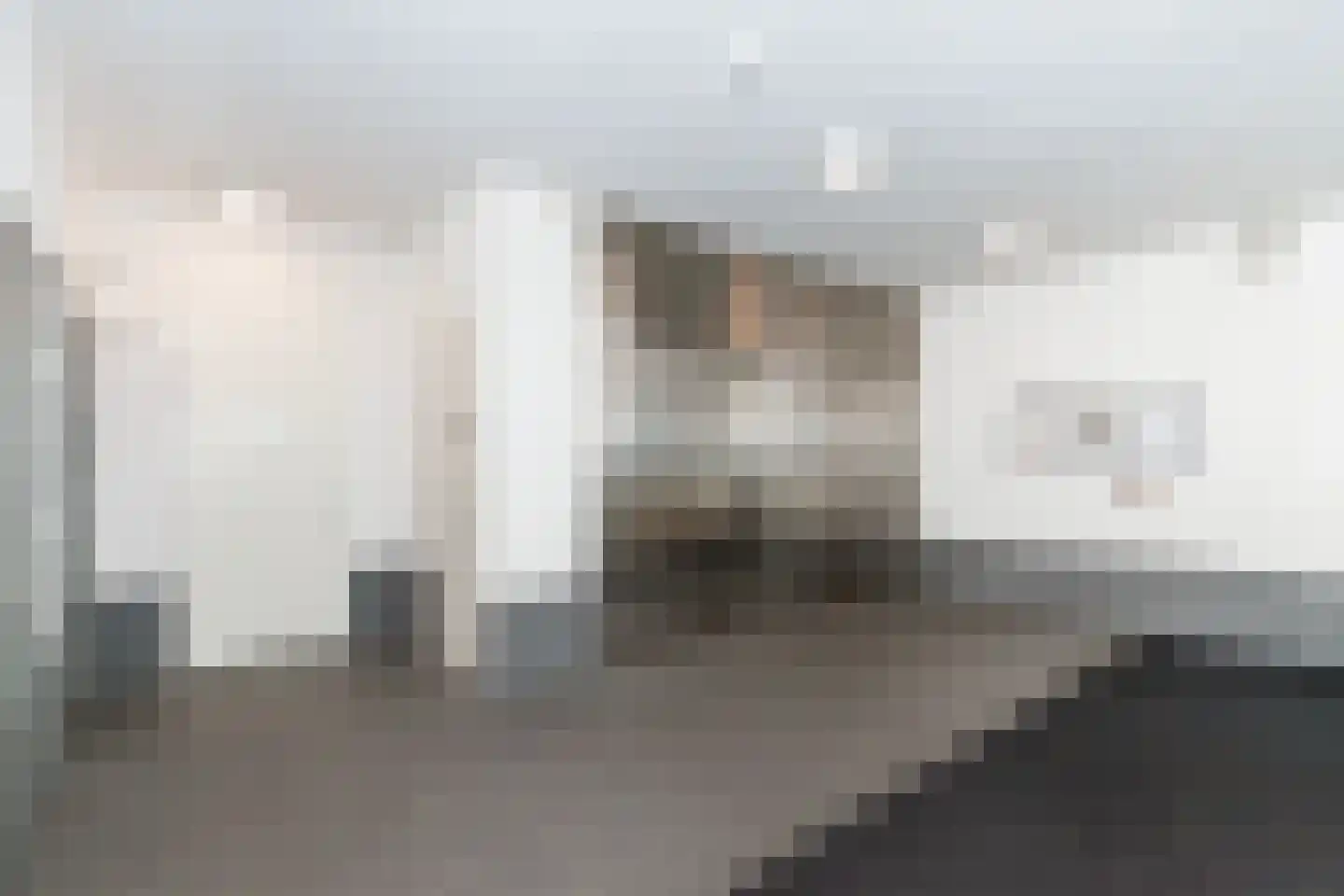 Bijdorplaan 131 Zoetermeer thumbnail 22