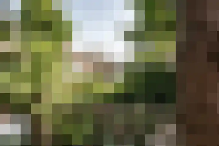 Bijdorplaan 155 Haarlem thumbnail 16