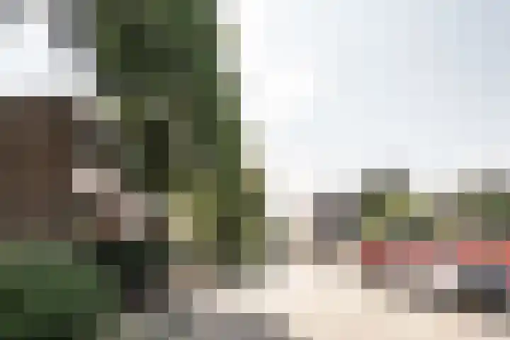 Bijdorplaan 155 Haarlem thumbnail 47