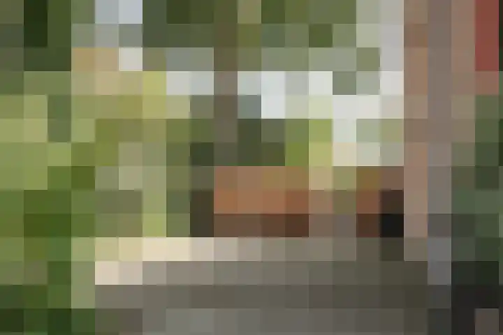 Bijdorplaan 155 Haarlem thumbnail 5