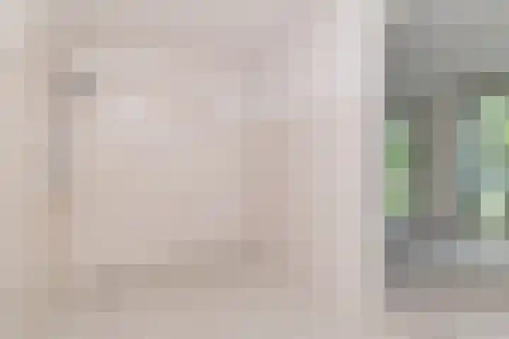 Bijdorplaan 179 Zoetermeer thumbnail 13