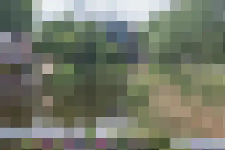 Bijdorplaan 179 Zoetermeer thumbnail 18