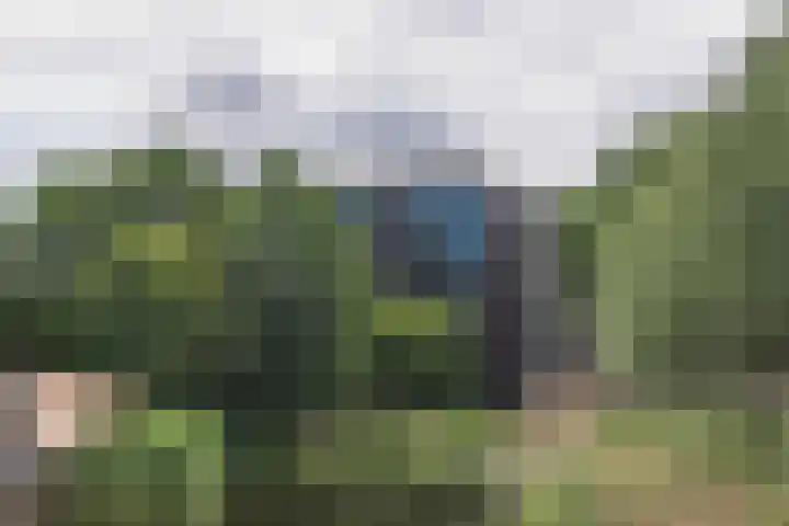 Bijdorplaan 179 Zoetermeer thumbnail 22
