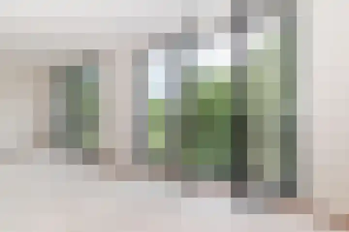 Bijdorplaan 179 Zoetermeer thumbnail 5