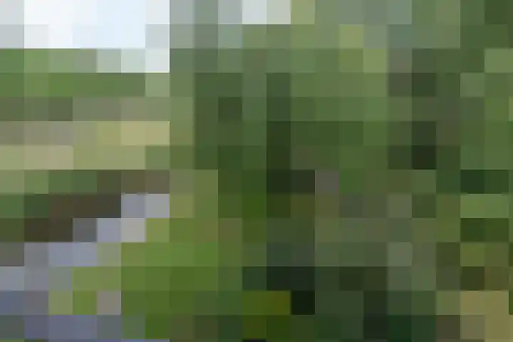 Bijdorplaan 179 Zoetermeer thumbnail 6